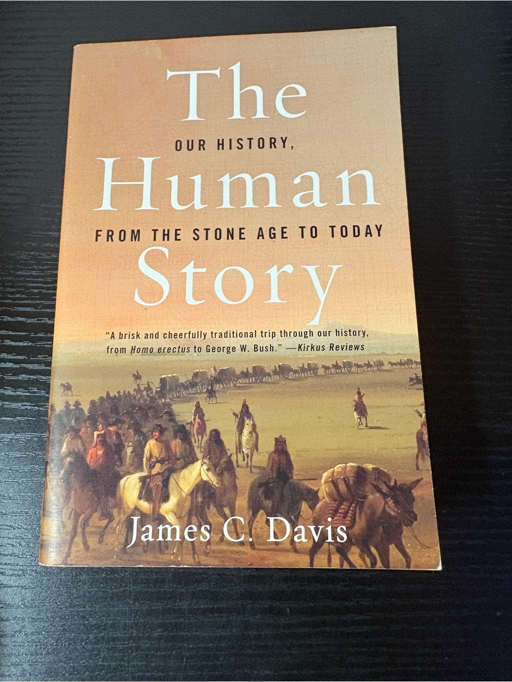 The Human Story James C Davis World History Paperback 2005